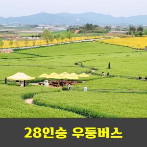 선운산 선운사 학원농장 청보리밭 100대명산 안내산악회