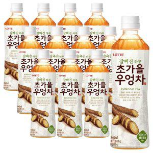 롯데 초가을우엉차 500ml 12PET