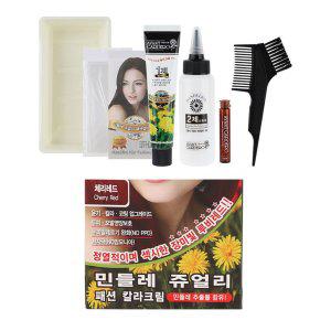 민들레 장미빛 정열적 두피모발 염색약 60g 체리레드