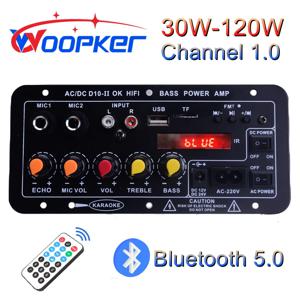 Woopker D10-II 디지털 블루투스 앰프 보드, 서브우퍼 듀얼 마이크, 노래방 앰프 스피커, 30-120W, 110V-220V, 12V, AMP 모듈