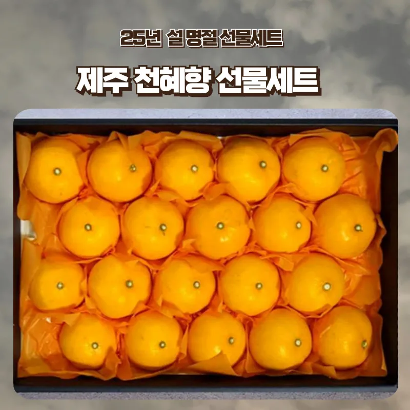 [푸디앤] 제주 천혜향 선물세트 1.5kg-4.5kg(대중소과 선택가능) / 예약판매 2024년 12월 23일경 출하예정