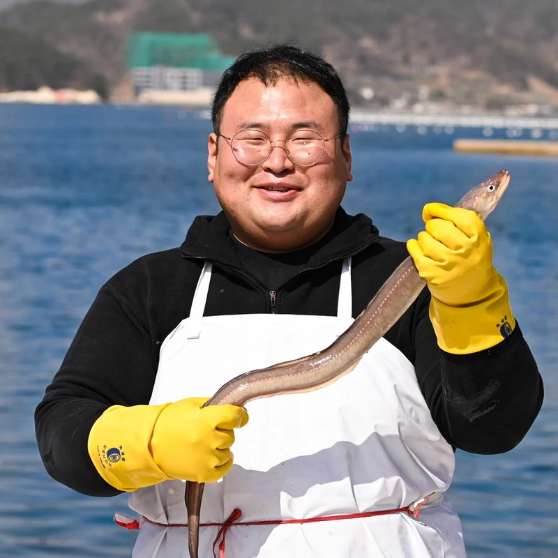 자연산 통영 바다장어 손질 국거리 바다장어 붕장어 아나고 1kg