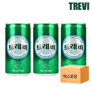 롯데 트레비캔 플레인 탄산수 190ml x 60개