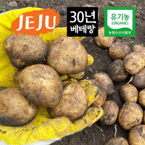 [유기농]산지직송 제주 유기농 감자 대지마 10kg/5kg/3kg 유기농 인증