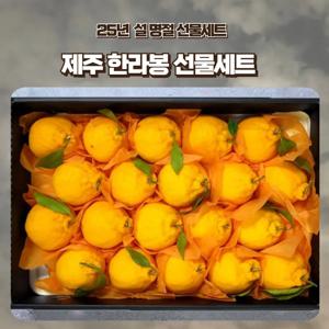 [푸디앤] 제주 한라봉 선물세트 1.5kg-4.5kg(대중소과 선택가능) / 예약판매 2024년 12월 23일경 출하예정