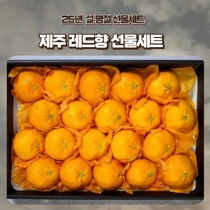 [푸디앤] 제주 레드향 선물세트 1.5kg-4.5kg(대중소과 선택가능) / 예약판매 2024년 12월 23일경 출하예정