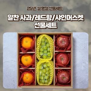 [푸디앤] 알찬 사과/레드향/샤인머스켓 선물세트 / 예약판매 2025년 1월 6일경 출하예정