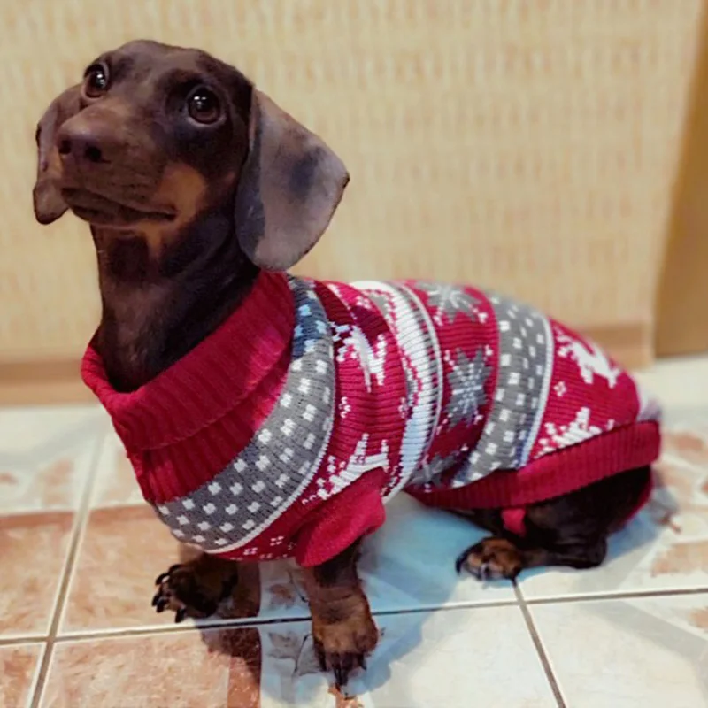 작은 개를 위한 귀여운 애완견 스웨터 겨울 따뜻한 강아지 고양이 옷 닥스 훈트 풀오버 Mascotas 의상 의류, 루파 카코로