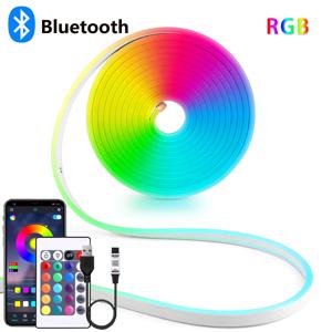 네온 장식 조명용 USB RGB 네온 LED 스트립, 블루투스 앱 및 리모컨, DC5V, IP65 방수, 1 m, 2 m, 3 m, 4 m, 5m