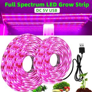 식물 빛 성장 LED 스트립 5V USB LED 1-5m 전체 스펙트럼 방수 LED 칩 온실 꽃 모종 성장 텐트 수경