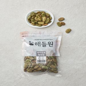 자이언트 파바빈 500g