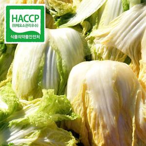 HACCP 해남 절임배추 20kg 예약발송