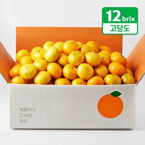 [탐라왕] 당도선별 타이벡 노지감귤 9kg(중과/L~2L)