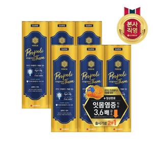 프로폴리테라 치약 100g (클래식민트) x 6개