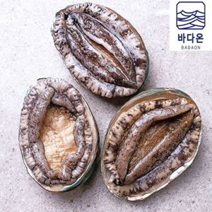 [바다온]완도활전복 5-6미 1kg(마리당165g내외) [산소팩, 무료배송]