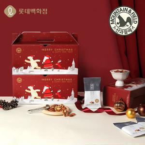 (롯데백화점)견과만담은 순수가온 20입 산타세트x2 (총 40봉) 하루견과 선물세트 +쇼핑백