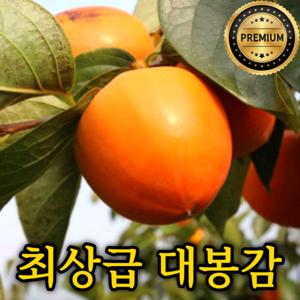 과즙많은 태추단감 배단감 2kg 4kg 최상급 대봉감 2kg 4.5kg