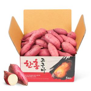 24년 황토 꿀고구마 특size 정품 개별(180g~280g) 5kg