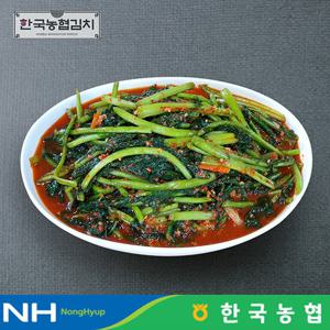 한국농협김치 전라도 순천 남도 열무김치 3kg