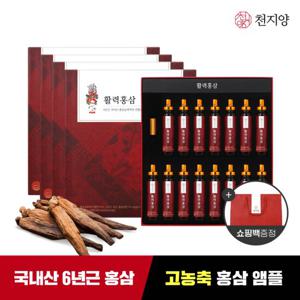 [천지양] 6년근 활력홍삼 앰플 15병*4박스 + 쇼핑백