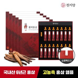 [천지양] 6년근 활력홍삼 앰플 15병*5박스 + 쇼핑백