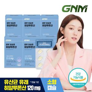 GNM 피부 보습엔 히알루론산 6박스 / 먹는 히알루론산