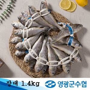 [영광군수협] 영광굴비 역걸이 장대 1.4kg 선물세트