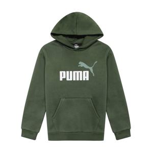 푸마 PUMA 에센셜 로고 기모 후드티 586987-31