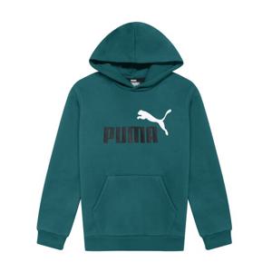 푸마 PUMA 에센셜 로고 기모 후드티 586987-75