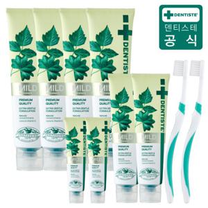 덴티스테 뉴마일드 치약 180g*4개+60g*2개+20g*2개+작은모*2개