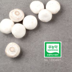 친환경 무농약 부여 꼬마 양송이 버섯 500g 조리용