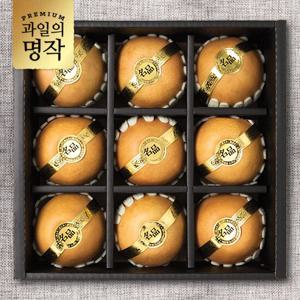 [과일의 명작] 행복 선물세트 배 9과 [4.5kg내외]