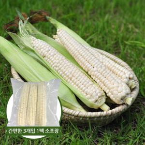 바로먹는 괴산대학 (냉동)삶은 찰옥수수 12개 (18cm내외)