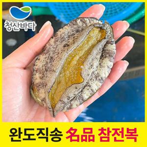 [청산바다] 완도 활전복 대복 9-10미 1kg