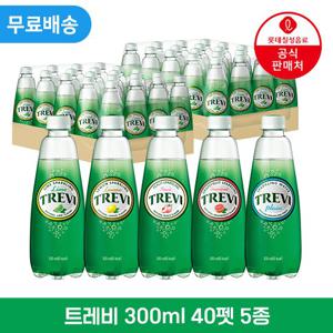 [직영] 롯데칠성 트레비 300ml x 40펫 (5종)