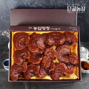 류충현버섯명장 편각영지버섯 고급선물세트 500g