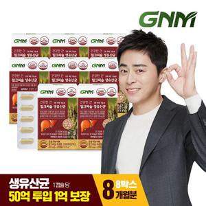 GNM 건강한 간 밀크씨슬 생유산균 8박스 / 실리마린