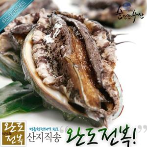 완도산 참 전복 14-15미 1kg (1미당 62-70g 내외)+고급선물포장