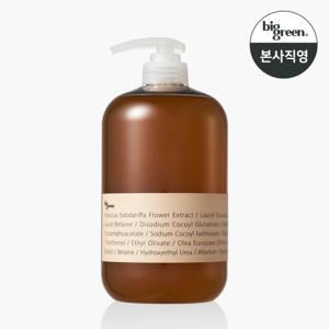 빅그린 데일리 비건샴푸 히비스커스 1000ml