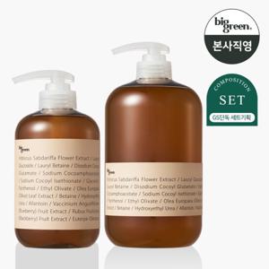 빅그린 데일리 비건샴푸 히비스커스 500ml+1000ml 세트