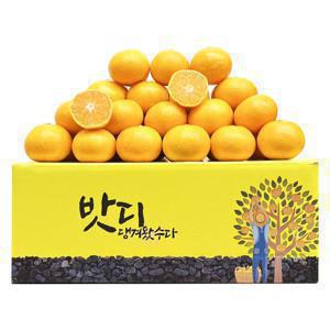 제주밧듸 첫 조생감귤 4.5kg 로얄과(2s-m)