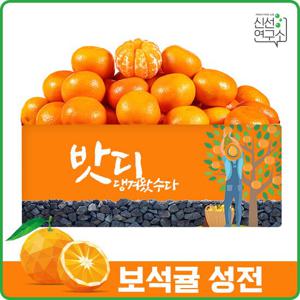 [신선연구소]제주밧디 왕들이 먹던 보석귤 성전 3kg