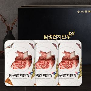 함평천지한우 1+ 구이선물세트 1호 등심 1.2kg