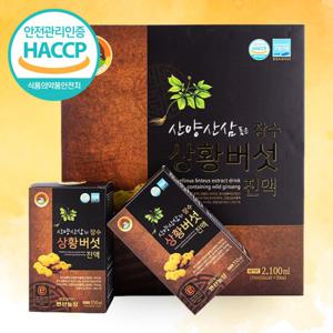 [웰굿]HACCP 산양삼 품은 상황버섯 진액 선물세트(70mlx301box)