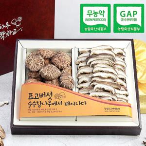 [웰굿]무농약GAP인증 표고버섯 흑화고 2종세트(흑화고슬라이스)