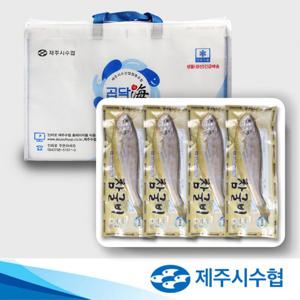 [제주시수협] 제주 참굴비 특대 선물세트 170g x 5팩