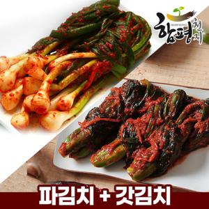 [푸른들] 전라도 함평김치 / 파김치 3kg + 여수갓김치 3kg