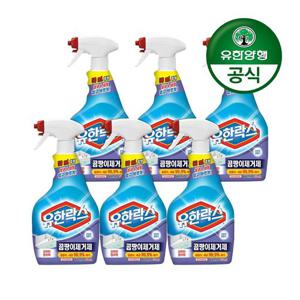 갤러리아_[유한양행]유한락스 곰팡이 제거제 650mL+650mL 3개