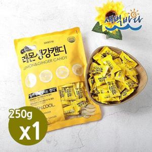 갤러리아_건강하게 달자 레몬생강캔디 250g x 1봉 무설탕 CRLC2501