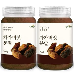 [동의한재] 프리미엄 러시아 차가버섯 분말 가루 300g x 2개